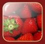 Week end al sapor di Fragola Week end al sapor di Fragola